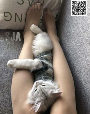 姐妹2韩国免费观看_视频全集
