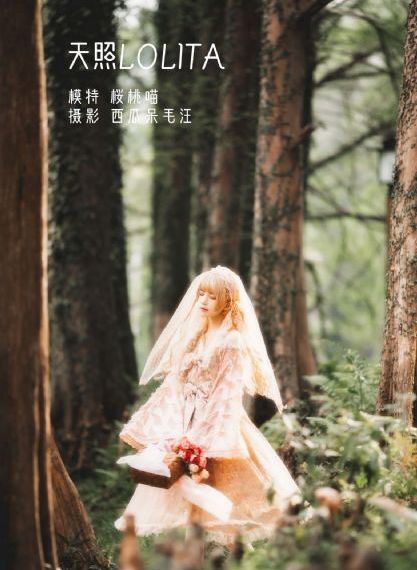 名侦探柯南全集中文版_HD电影完整版