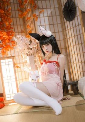 电视剧回响免费观看全集高清版_DVD在线观看